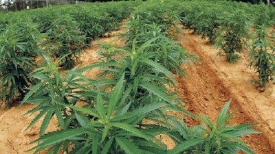 Po Tgarden 16358