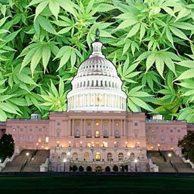 Dc Weed