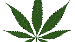 Marijuana Leaf
