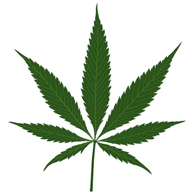 Marijuana Leaf