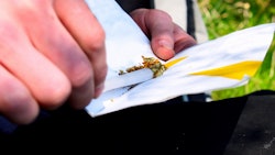 Rolling Joint Marijuana Image