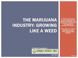 THE MARIJUANA INDUSTRY GROWING LIKE A WEED- REPORT