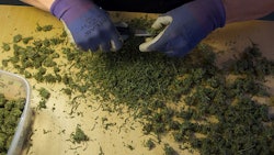 Weed Shot