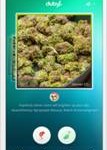 Duby app