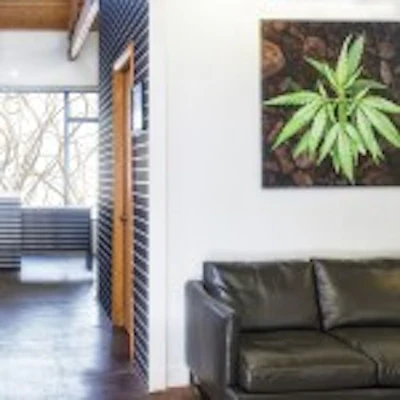 The High Road Design Studio's Minerva Canna Group dispensary project in Albuquerque, N.M.