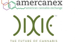 dixie-amercanex logo