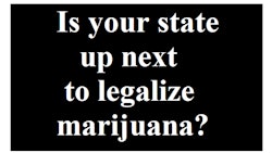 States To Legalize Image