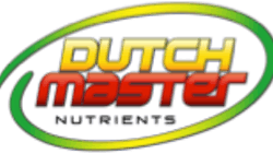 dutchmaster091815