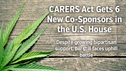 Carer Sfeatureimage1