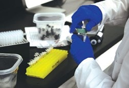 Blue Lab Gloves Opening Bottle Fmt
