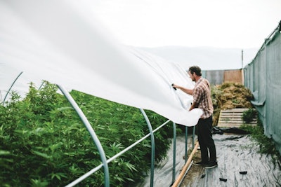 Cannasol Aug2015 176 Fmt
