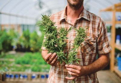 Cannasol Aug2015 229 Fmt