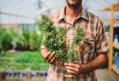 Cannasol Aug2015 229 Fmt