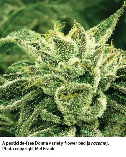 Cbt1115 Pg81