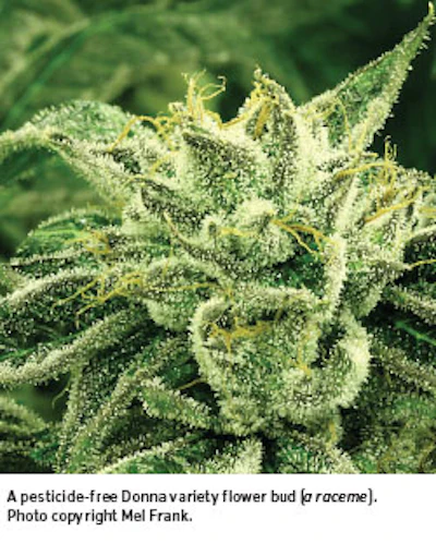 Cbt1115 Pg81