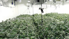 Feature Crop2 Fmt