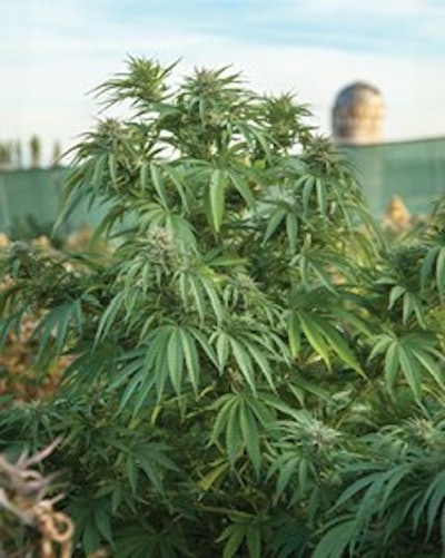 Img 0475edit Email Fmt