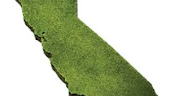 Cutout Cali Fmt