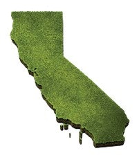 Cutout Cali Fmt