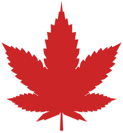 White Canadien Mapleweed Fmt