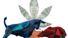 Bull Cannabis Bear Fmt