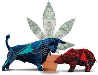 Bull Cannabis Bear Fmt