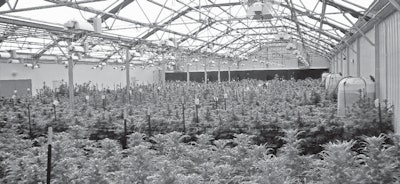 Cover Option 100 0230 (a) Grayscale Fmt