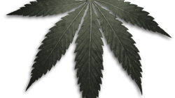 Dreamstime Xxl 5507519 Fmt