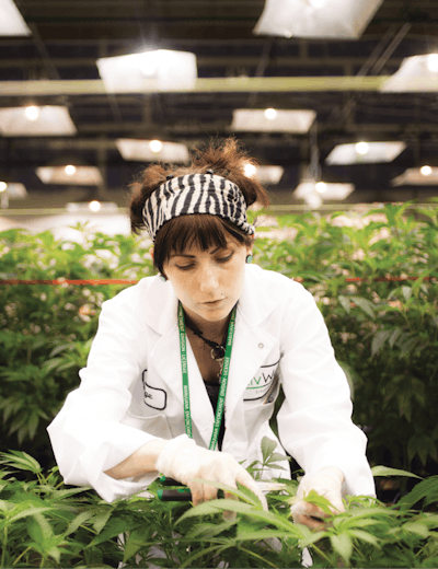 Habits Liv Well 2 R Fmt