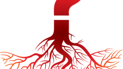 Question Mark Roots Fmt