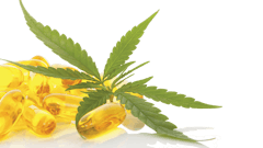 Dreamstime 60197206 Fmt