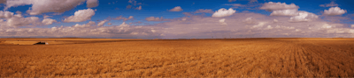 Ranch Land 5 R Fmt