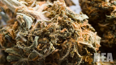 081916 Marijuana Dea