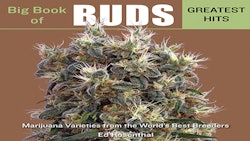 Bbbgh Cover