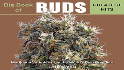 Bbbgh Cover