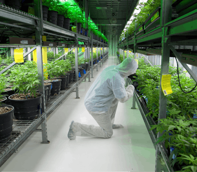 Copy Of Img 5160 R Fmt