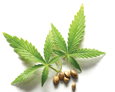 Dreamstime Xxl 5497120 Fmt