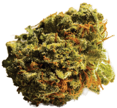 Dreamstime Xxl 65433753 Casey Jones Marijuana Fmt