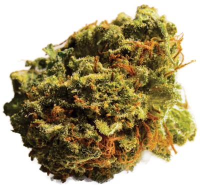 Dreamstime Xxl 65433753 Casey Jones Marijuana Fmt