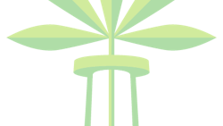 Marijuana Test Tube Fmt