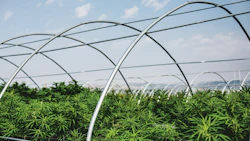 Greenhouse093016