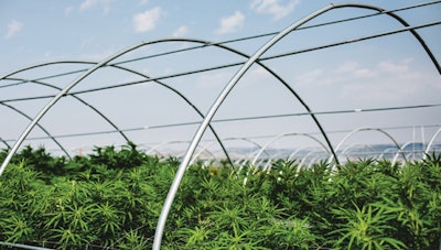 Greenhouse093016