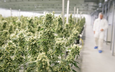 Canopy Growth Bruce Linton Smiths Falls Canada Day