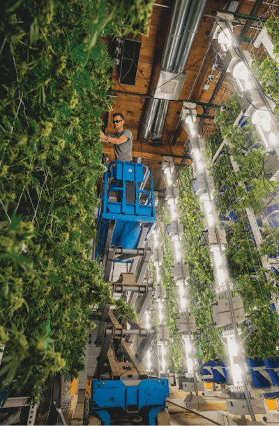 Cbt Vert Finals 1 Fmt