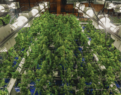 Cbt Vert Finals 3 Fmt