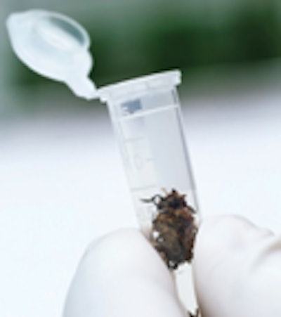 Dreamstime Xxl 73954059 Fmt