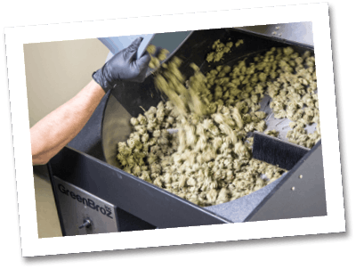 Gbz Out Co 420 Dry Trimmer 7 Fmt
