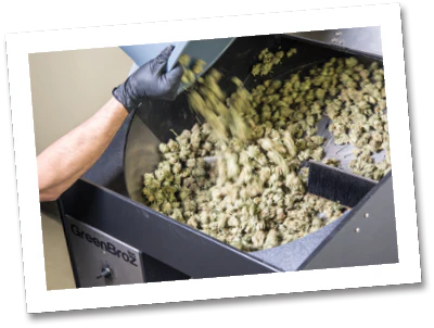 Gbz Out Co 420 Dry Trimmer 7 Fmt