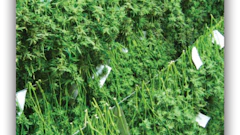 Harvest2 Fmt