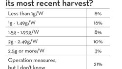 Measuring Yield Chart 2 Fmt